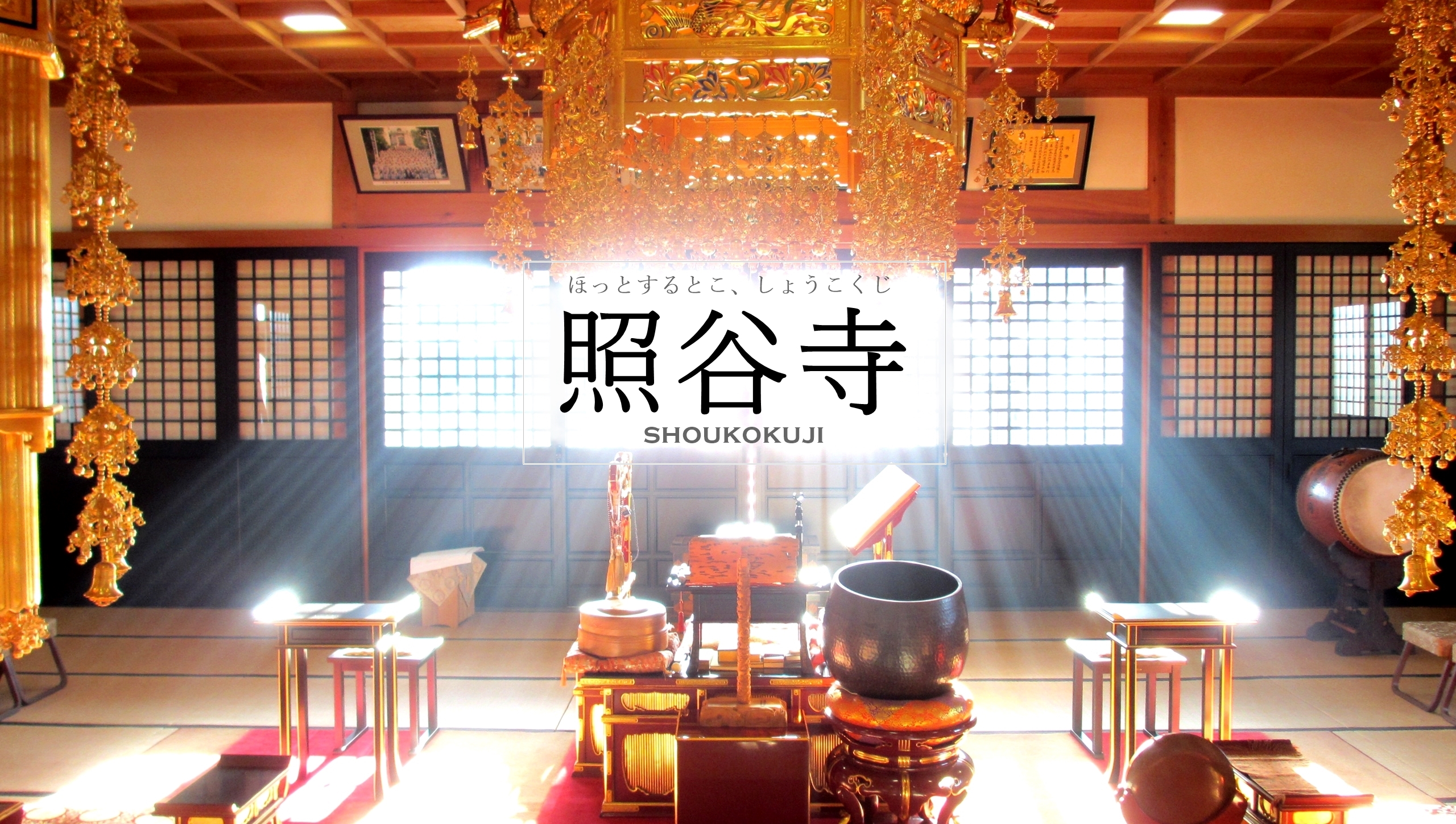 茨城県取手市にある日蓮宗寺院　照谷寺ホームページ